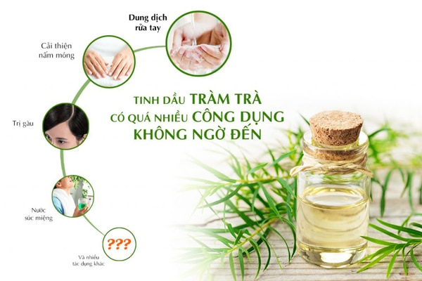 Tinh dầu tràm trà có rất nhiều công dụng